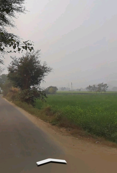  1 Bigha Agricultural/Farm Land for Sale in Alwar Mega Highways