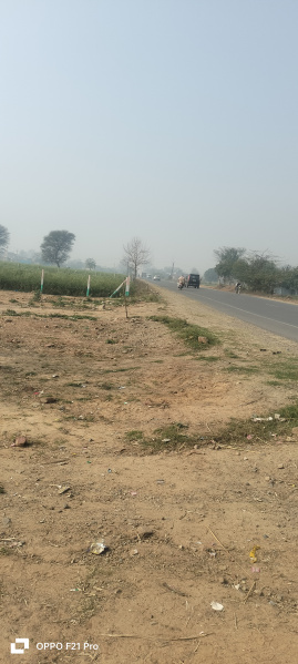  2 Bigha Agricultural/Farm Land for Sale in Alwar Mega Highways