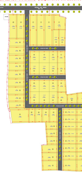  29 Bigha Agricultural/Farm Land for Sale in Chikani, Alwar