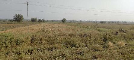  Agricultural Land for Sale in Annigeri, Dharwad