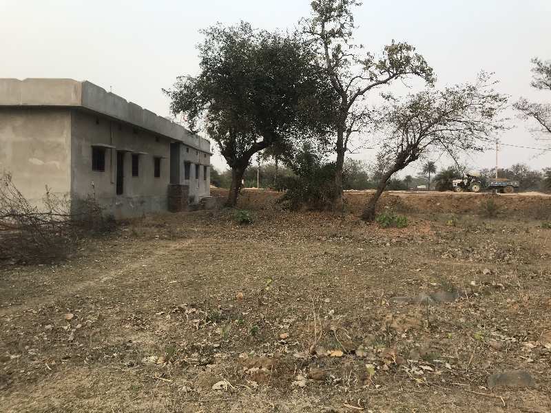  Agricultural Land 5 Dismil for Sale in Daltonganj, Palamu