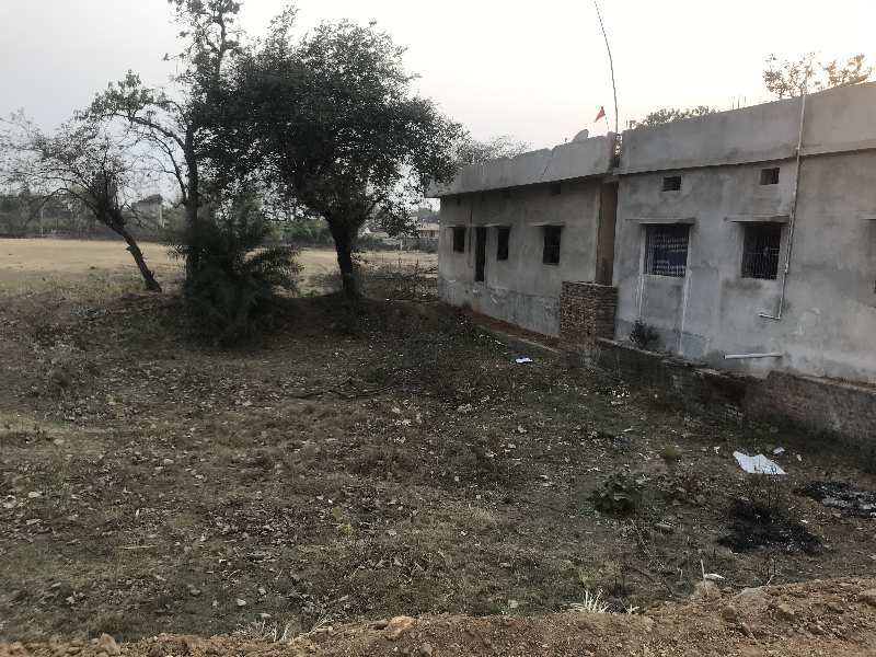  Agricultural Land 5 Dismil for Sale in Daltonganj, Palamu