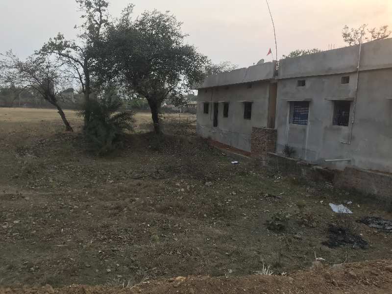  Agricultural Land 5 Dismil for Sale in Daltonganj, Palamu