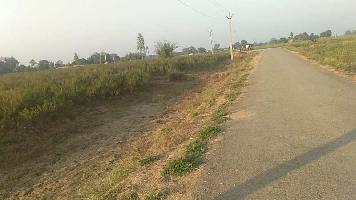  Agricultural Land for Sale in Mirzapur, Mirzapur-cum-Vindhyachal