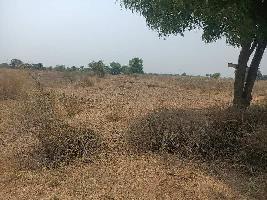  Agricultural Land for Sale in Atmakur, Kurnool