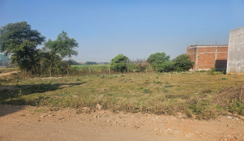  Residential Plot 1000 Sq.ft. for Sale in Chandan, Banka