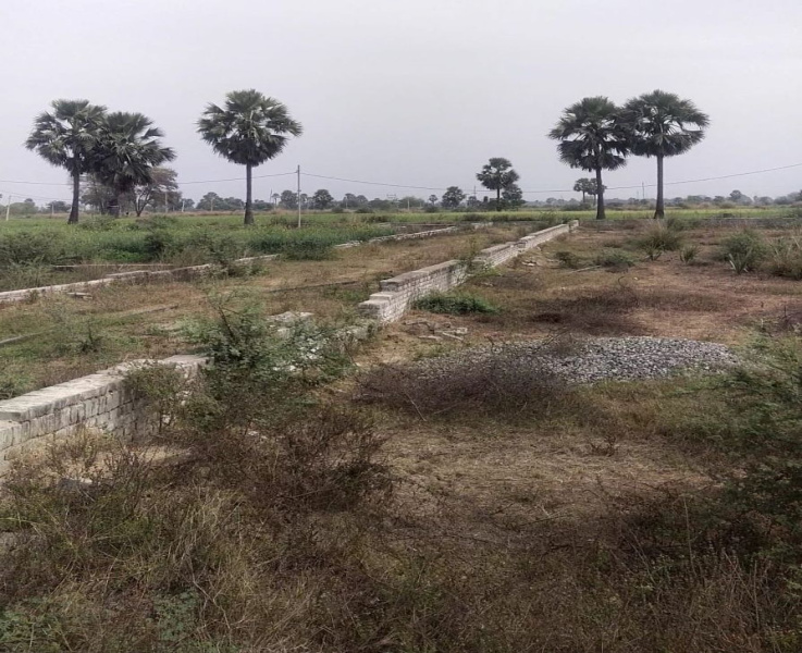  Residential Plot 800 Sq.ft. for Sale in Rajgir, Nalanda