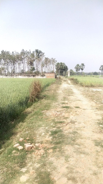  Residential Plot 1600 Sq.ft. for Sale in Rajgir, Nalanda