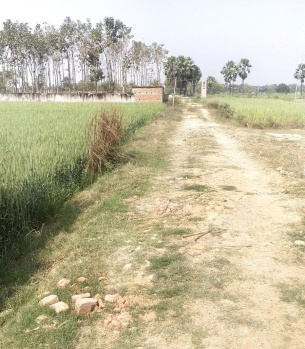  Residential Plot for Sale in Rajgir, Nalanda