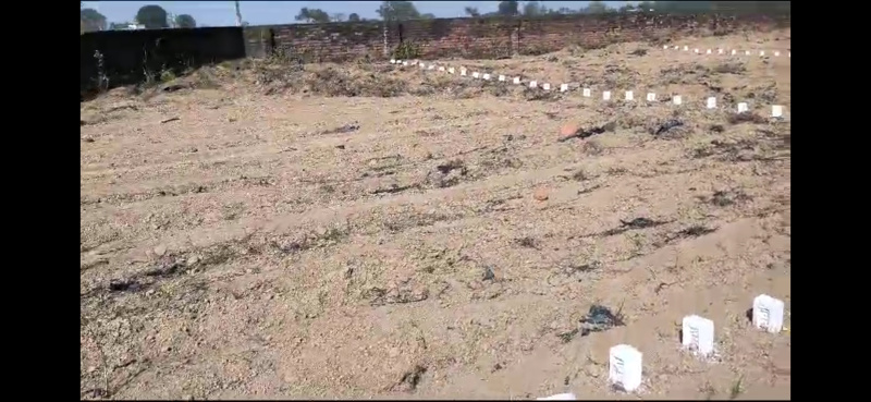  Residential Plot 5 Dismil for Sale in Chuttu, Ranchi