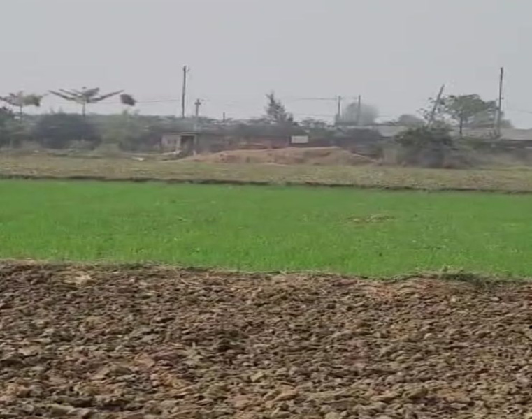  1200 Sq.ft. Residential Plot for Sale in Punpun, Patna