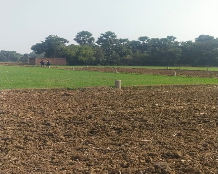  2400 Sq.ft. Residential Plot for Sale in Punpun, Patna