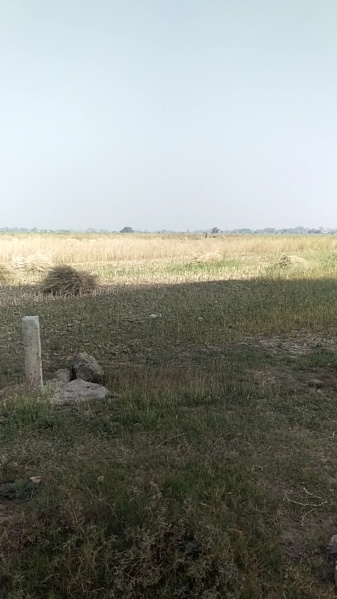  1200 Sq.ft. Residential Plot for Sale in Deedarganj, Patna