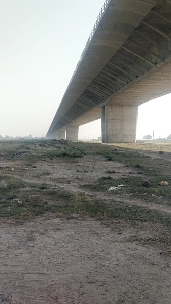  1200 Sq.ft. Residential Plot for Sale in Deedarganj, Patna