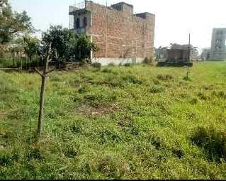  Residential Plot 1361 Sq.ft. for Sale in Parsa, Patna