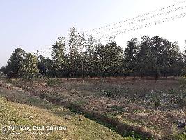  Industrial Land for Sale in Bhagwanpur, Roorkee