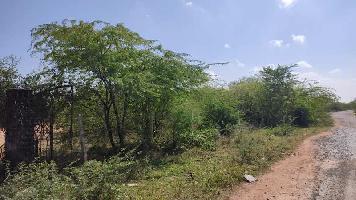  Agricultural Land for Sale in Pulicat, Thiruvallur