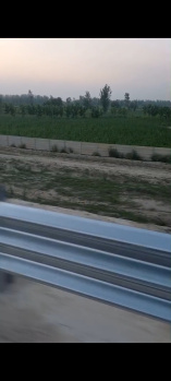  Agricultural Land for Sale in Kuchesar Road Chaupala, Hapur