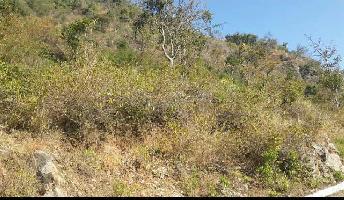  Agricultural Land for Sale in Rajgarh, Sirmour