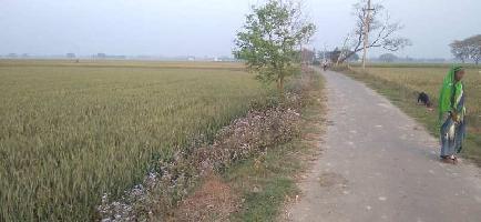  Agricultural Land for Rent in Rampur Karkhana, Deoria