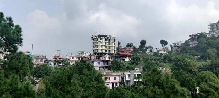 1 BHK Flat for Sale in Barog, Solan