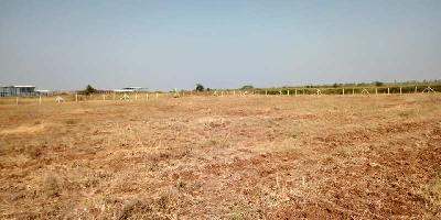  Agricultural Land for Sale in Zaheerabad, Sangareddy