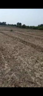  Agricultural Land for Sale in Baqarganj, Bareilly