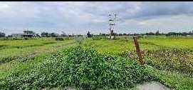  Agricultural Land for Sale in Chitodiya Lakha, Sehore, Sehore