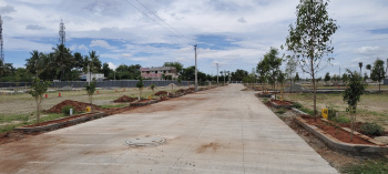  Residential Plot for Sale in Viralimalai, Pudukkottai