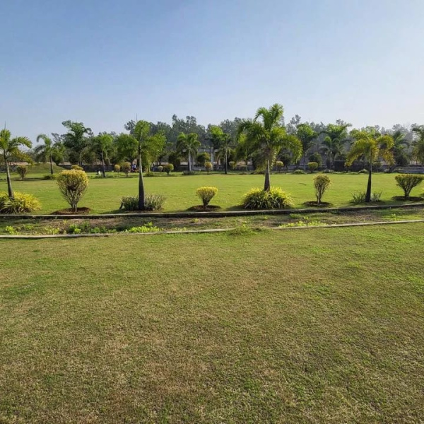  711 Sq.ft. Residential Plot for Sale in Vidhan Sabha Road, Raipur