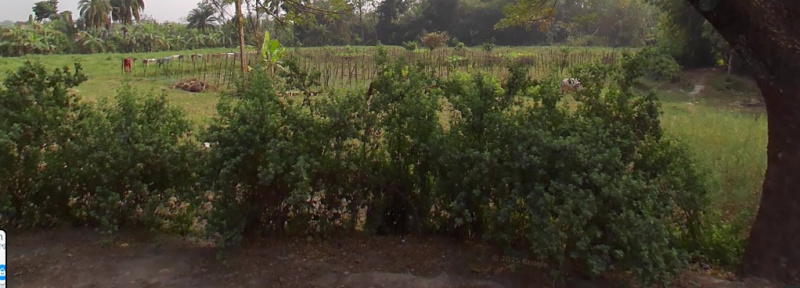  Agricultural Land 10 Bigha for Sale in Sonarpur, Kolkata
