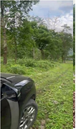 Agricultural Land 1 Acre for Sale in Mirik, Darjeeling