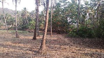  Commercial Land for Sale in Sancoale, Goa