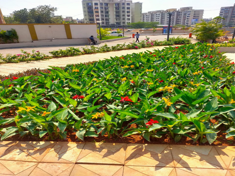 1 BHK Apartment 471 Sq.ft. for Sale in Vasai East, Mumbai