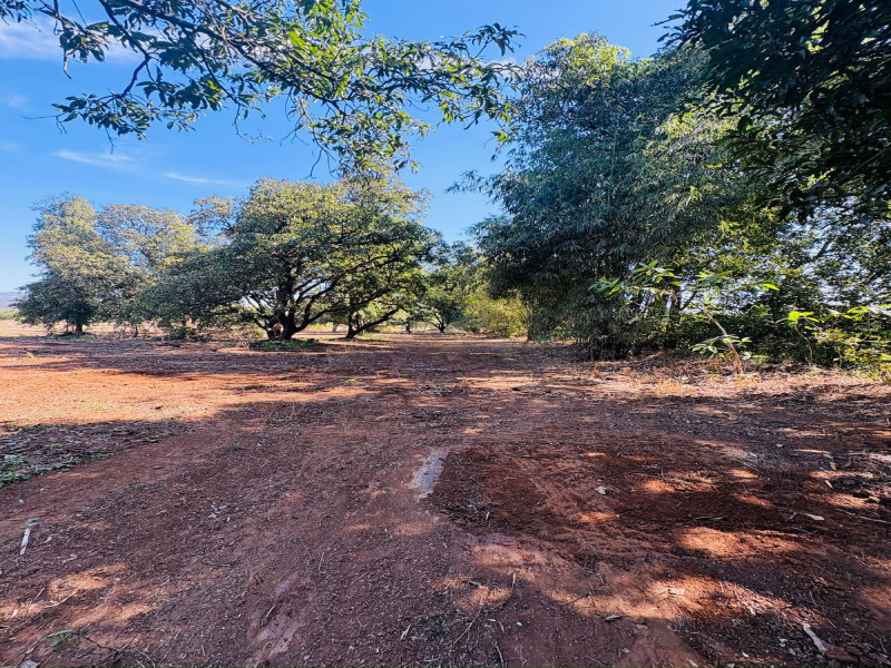  21780 Sq.ft. Residential Plot for Sale in Karjat, Raigad