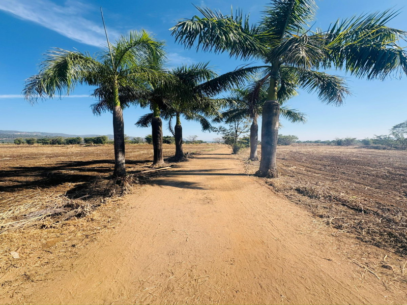  21780 Sq.ft. Residential Plot for Sale in Kolad, Raigad