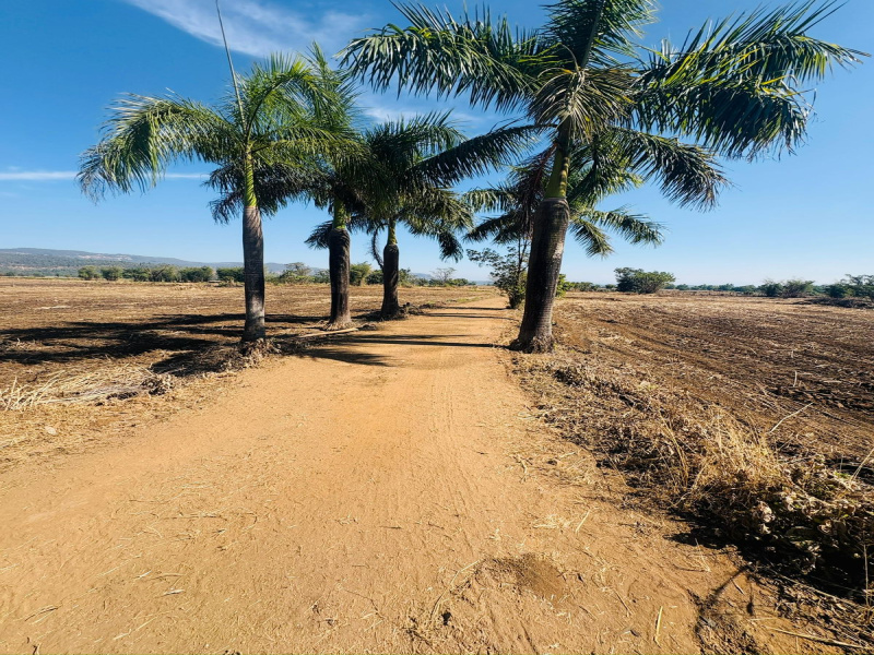  21780 Sq.ft. Residential Plot for Sale in Kolad, Raigad