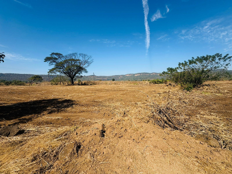  21780 Sq.ft. Residential Plot for Sale in Kolad, Raigad