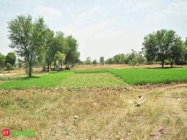  Agricultural Land for Sale in Rooma, Kanpur