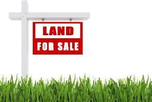  Residential Plot for Sale in Bargur, Krishnagiri