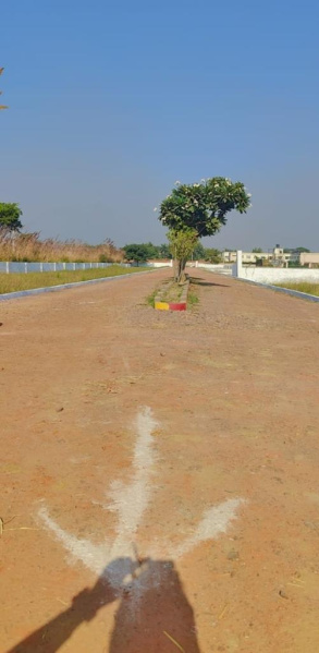  Residential Plot 150 Sq. Yards for Sale in Sector 150 Noida