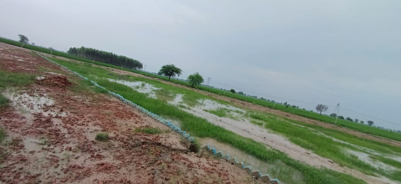  Residential Plot 200 Sq. Yards for Sale in Tappal, Aligarh