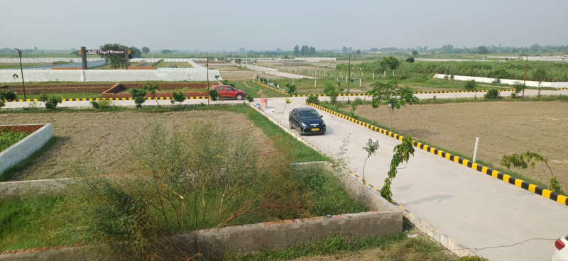  Residential Plot 100 Sq. Yards for Sale in Jewar, Gautam Buddha Nagar