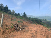 Residential Plot for Sale in Kotagiri, Nilgiris