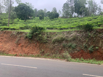  Residential Plot for Sale in Coonoor, Nilgiris