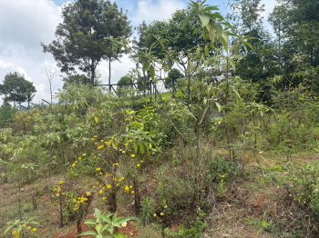  Residential Plot for Sale in Ketti, Nilgiris