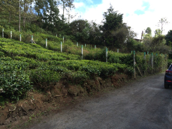  Residential Plot for Sale in Kotagiri, Nilgiris