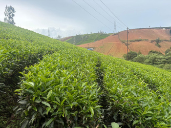  Residential Plot for Sale in Ketti, Ooty