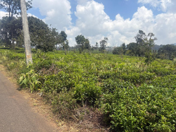  Residential Plot for Sale in Coonoor, Nilgiris