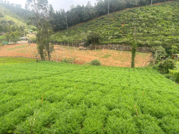 Residential Plot for Sale in Coonoor, Nilgiris